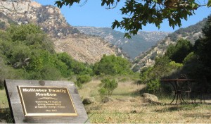 Hollister meadow