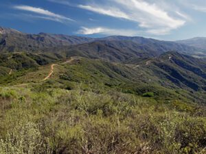 Rancho Monte Alegre – The Land Trust for Santa Barbara County